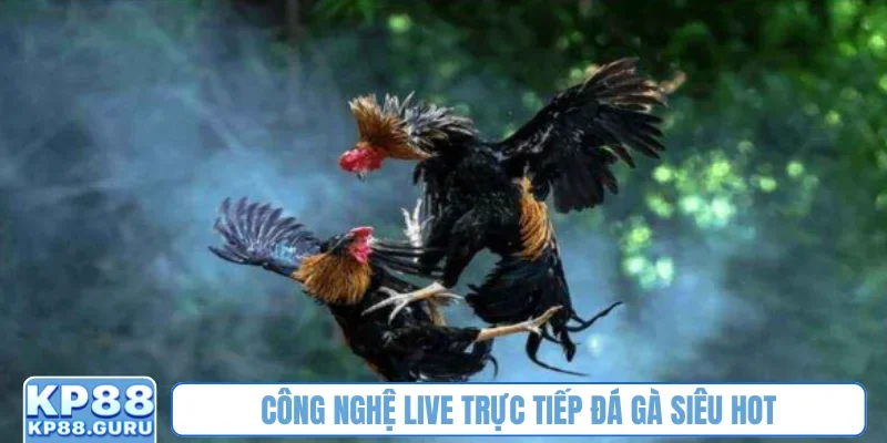 Trực tiếp đá gà KP88 - Xem trận đấu kịch tính, mãn nhãn từng giây 1 Công nghệ live trực tiếp đá gà siêu hot